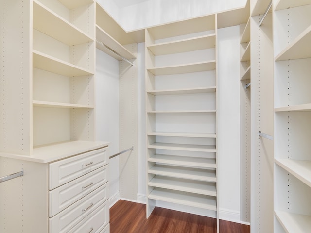 spacious closet with dark hardwood / wood-style floors