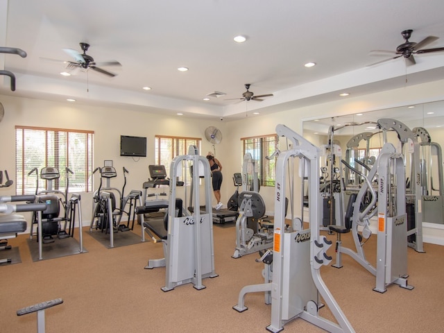 gym with light carpet and a healthy amount of sunlight