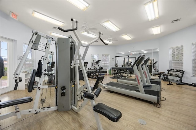 exercise room with ceiling fan and light hardwood / wood-style floors