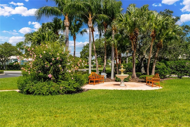 view of property's community featuring a yard