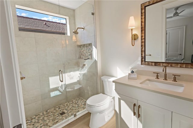 bathroom with vanity, an enclosed shower, and toilet