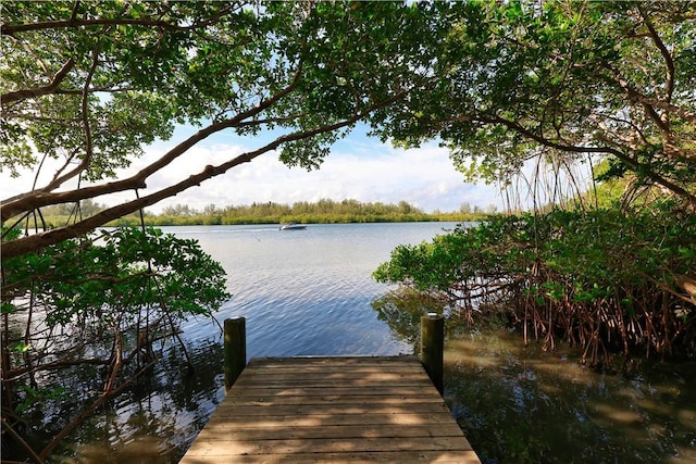 dock area with a water view