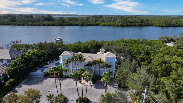 aerial view featuring a water view