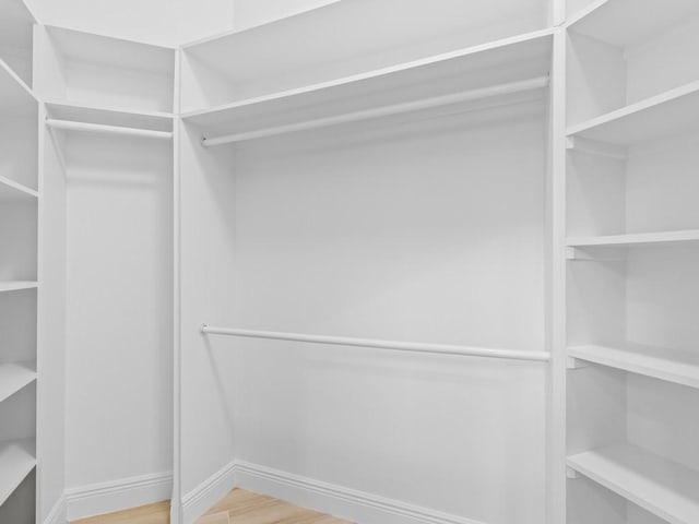 spacious closet with hardwood / wood-style floors