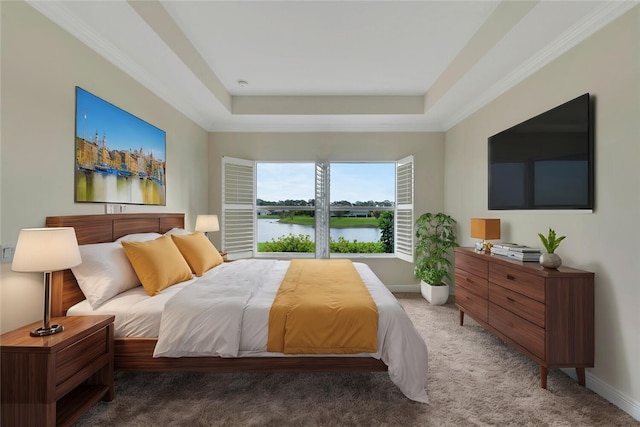 carpeted bedroom featuring a raised ceiling