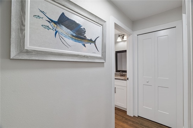 1368 Scroll St, Sebastian, FL 32958 - hallway with dark wood finished floors and a sink