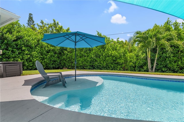 1368 Scroll St, Sebastian, FL 32958 - view of outdoor pool