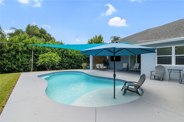 1368 Scroll St, Sebastian, FL 32958 - swimming pool featuring a patio