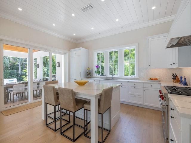 kitchen featuring visible vents, light stone countertops, custom range hood, decorative backsplash, and stainless steel stove