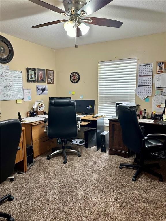 office with ceiling fan, a textured ceiling, and carpet flooring