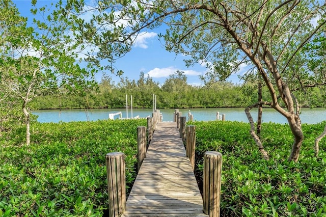 view of dock with a water view