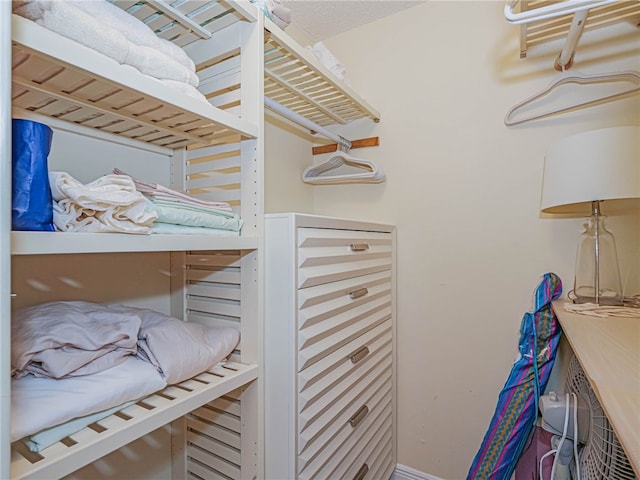 view of walk in closet