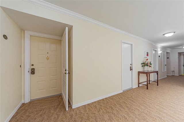 interior space featuring carpet flooring and ornamental molding