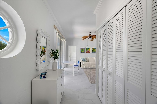 hall featuring crown molding and a wealth of natural light