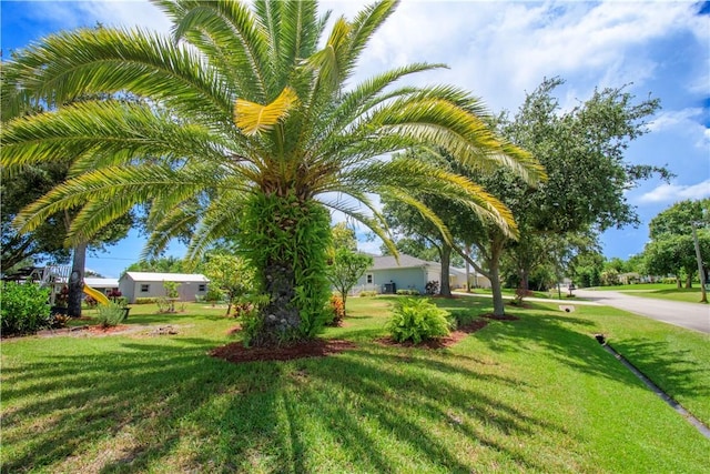 1018 Persian Ln, Sebastian, FL 32958 - view of grassy yard