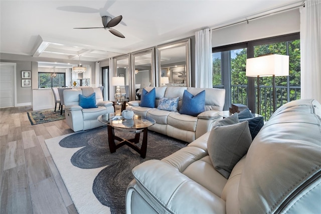 living room featuring beamed ceiling, a wealth of natural light, ceiling fan, and light hardwood / wood-style flooring