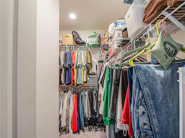 walk in closet with carpet floors