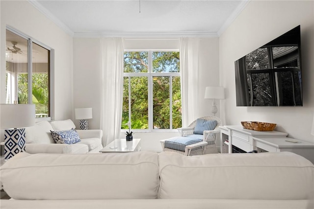 living area featuring crown molding, a healthy amount of sunlight, and ceiling fan