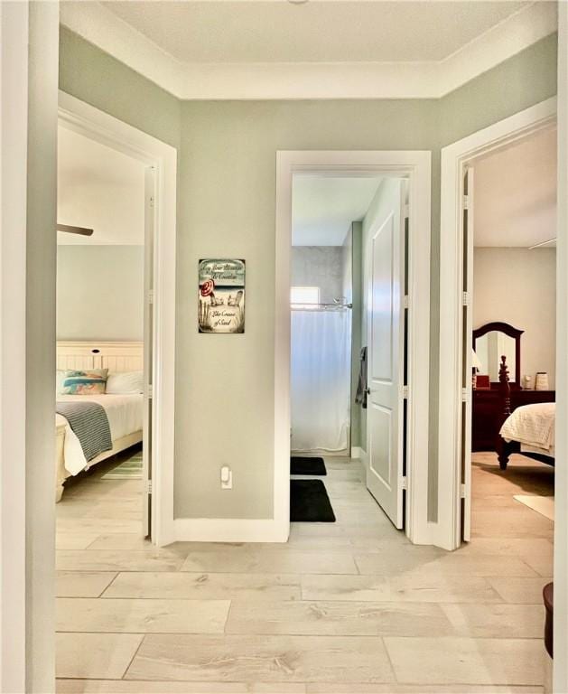 hallway featuring light hardwood / wood-style flooring