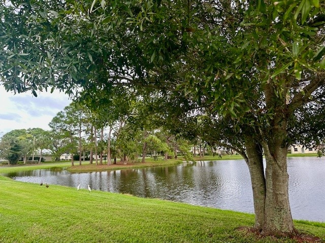 water view