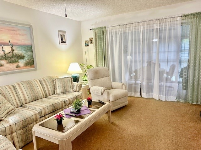 living room with a textured ceiling and carpet