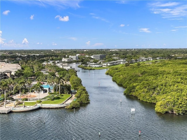 bird's eye view featuring a water view