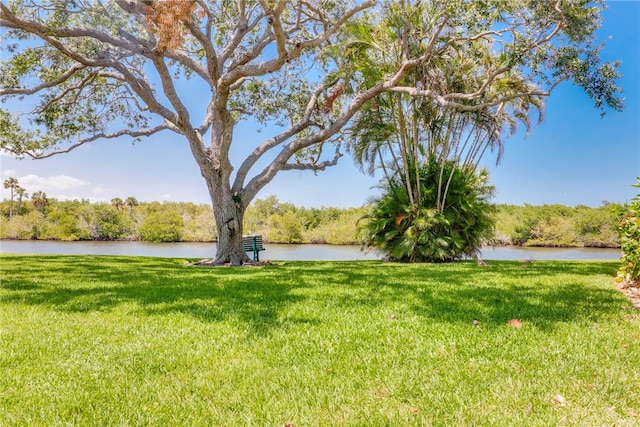 view of yard with a water view