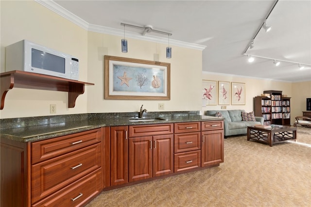 kitchen with sink, light carpet, ornamental molding, and rail lighting