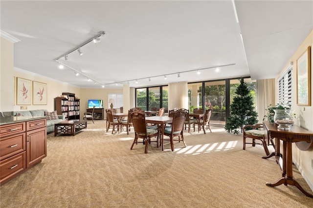 dining room with ornamental molding, track lighting, and light colored carpet