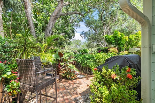1541 Sabal Ct, Vero Beach, FL 32963 - view of patio