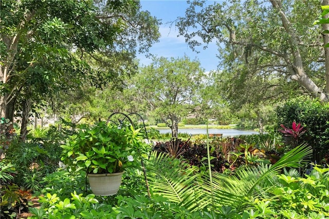 1541 Sabal Ct, Vero Beach, FL 32963 - view of yard with a water view