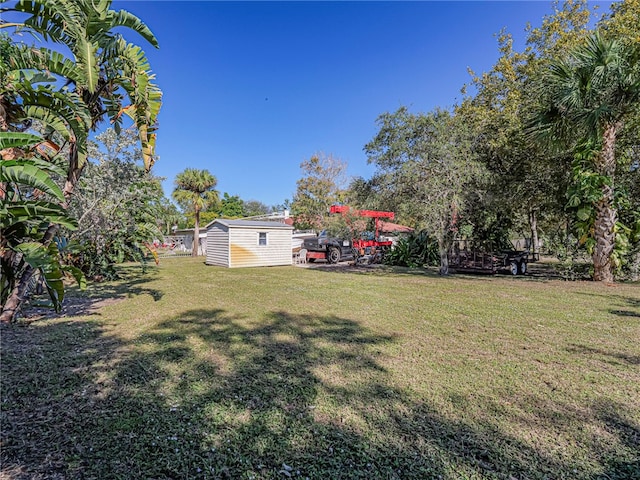 view of yard with a storage shed