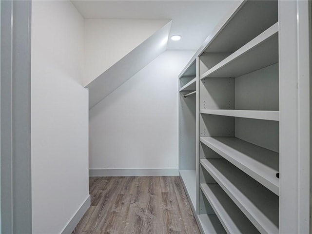 walk in closet featuring wood finished floors