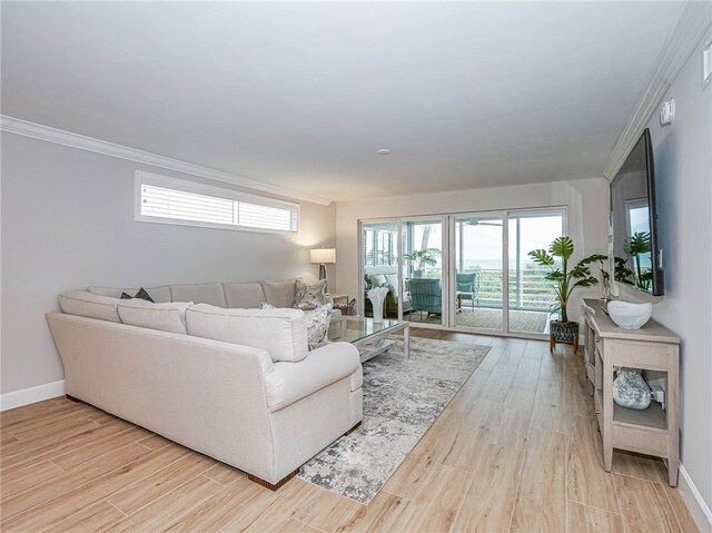 living room featuring light hardwood / wood-style floors and ornamental molding