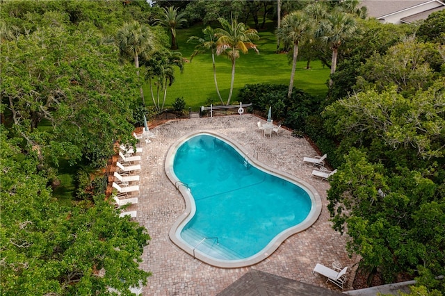 view of pool featuring a patio area