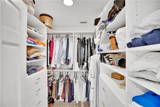 view of walk in closet