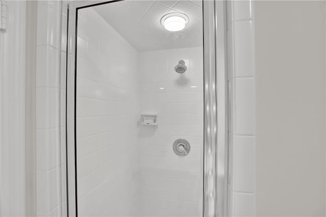 room details with a shower with shower door