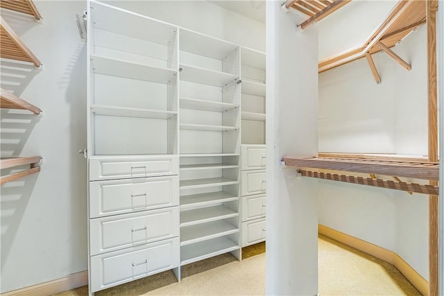 spacious closet with light carpet