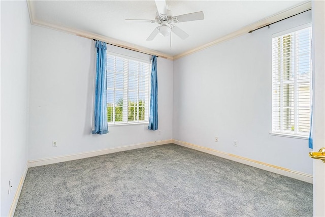 carpeted spare room with ceiling fan and crown molding