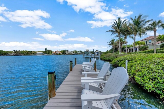 dock area with a water view