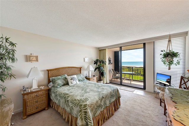 bedroom featuring access to exterior, a textured ceiling, and light carpet