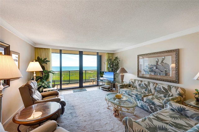 living room with a textured ceiling, floor to ceiling windows, and crown molding