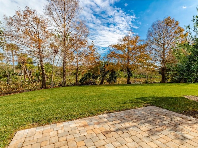 view of yard featuring a patio