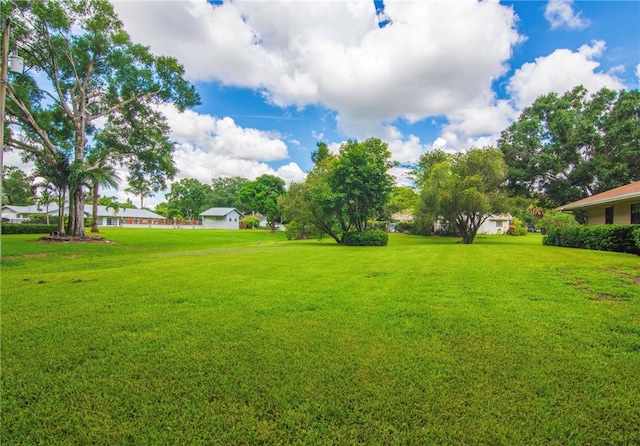 view of yard