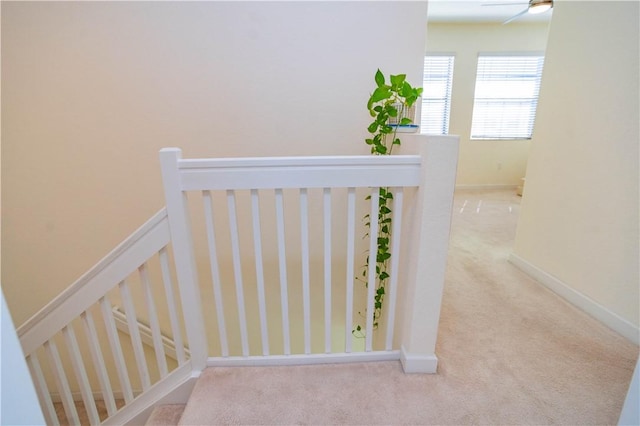 stairway featuring carpet floors