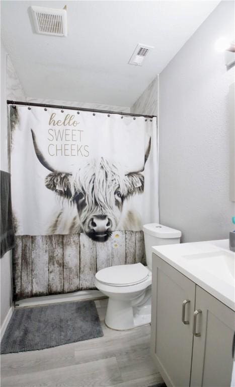 bathroom featuring vanity, hardwood / wood-style floors, and toilet