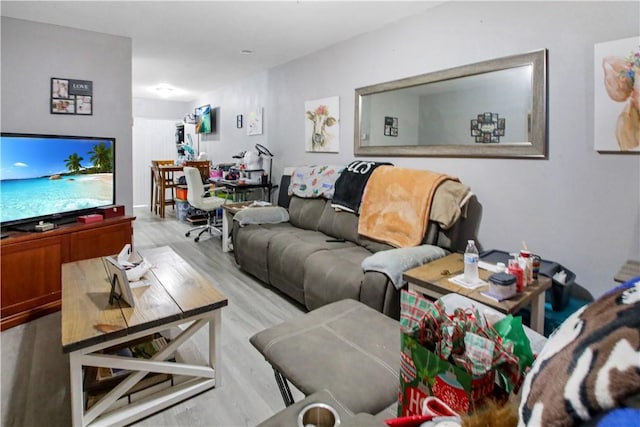 living room with light hardwood / wood-style flooring