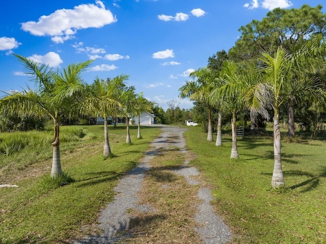 view of community with driveway and a yard