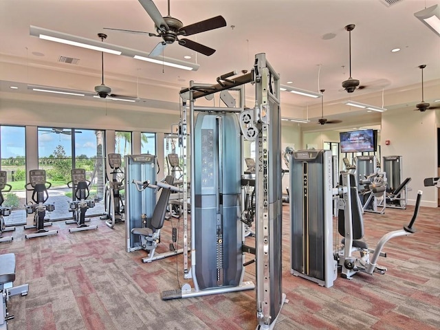 workout area featuring carpet and visible vents