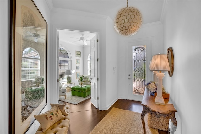 foyer entrance with dark hardwood / wood-style flooring, ceiling fan, and ornamental molding